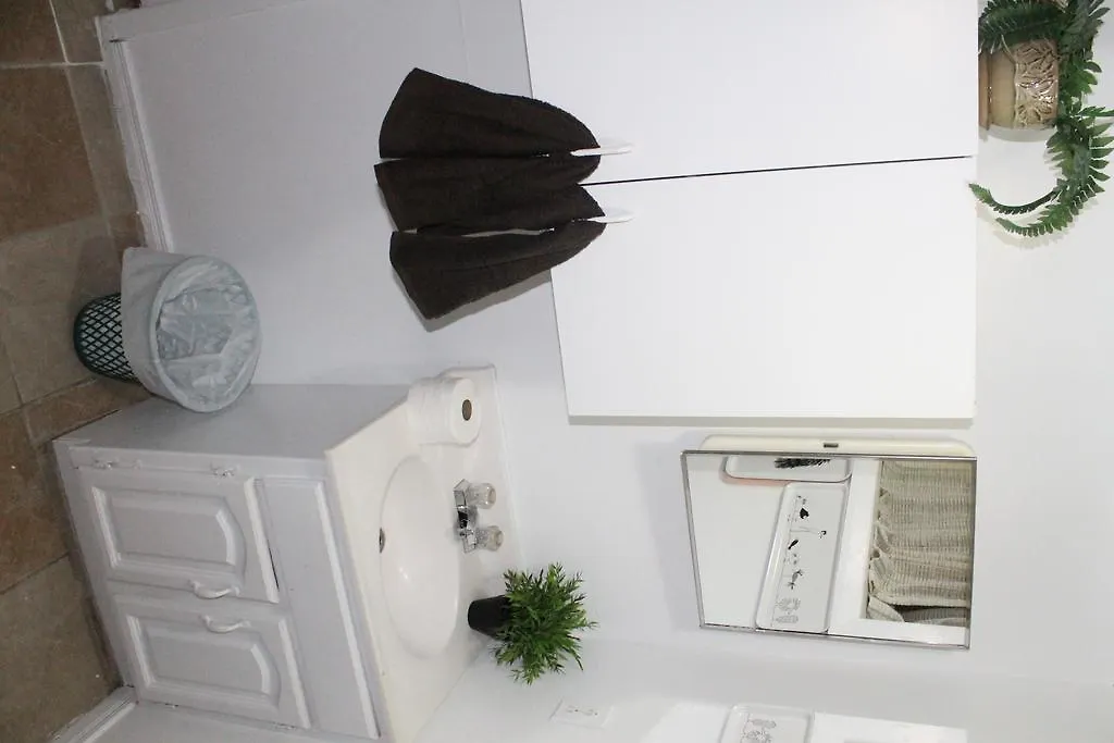 Adib Apartments - 931 Pinecrest Rd, Unit B